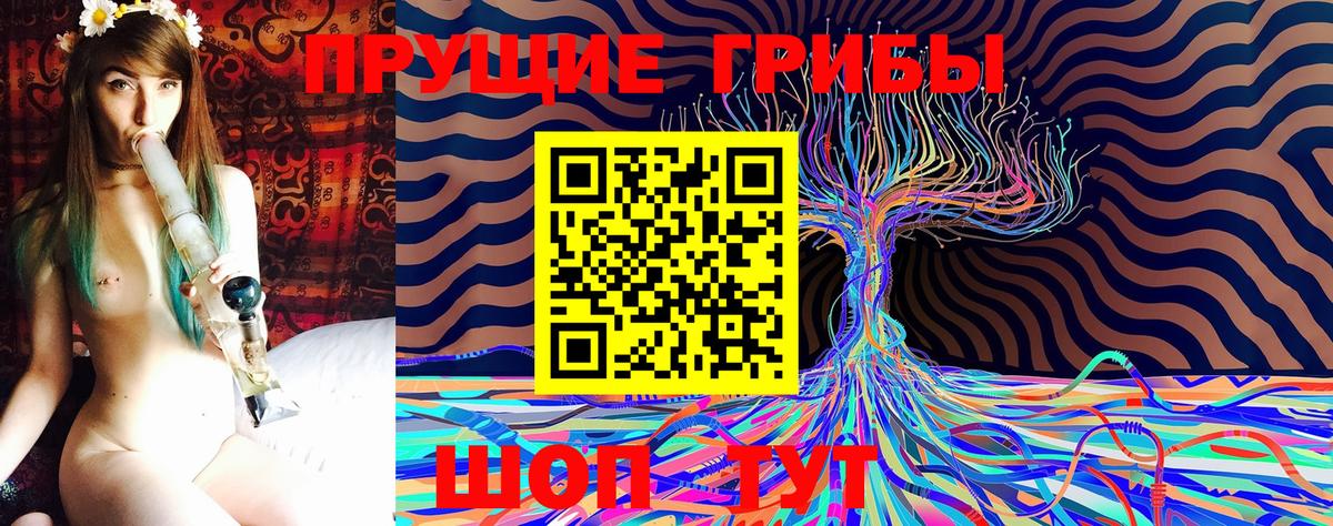 Галлюциногенные грибы мицелий  Вход с VPN  Гусиноозёрск 