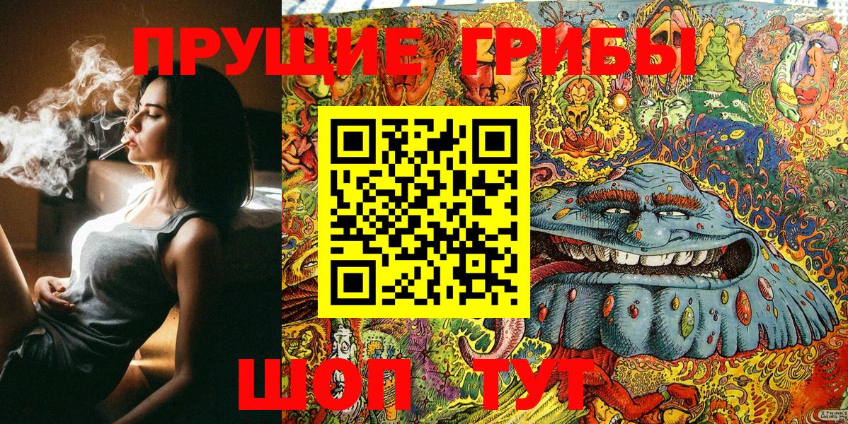 Псилоцибиновые грибы GOLDEN TEACHER Гусиноозёрск